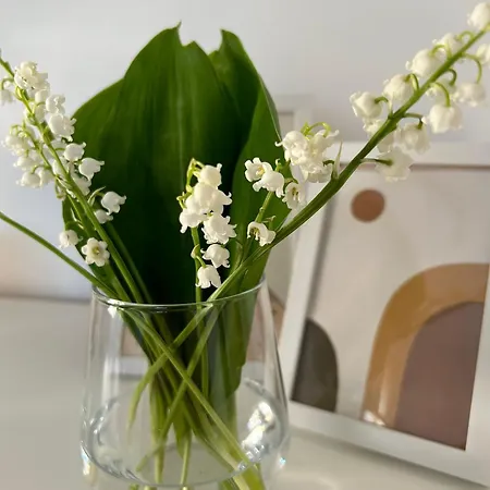 Family Paradise * Ruse