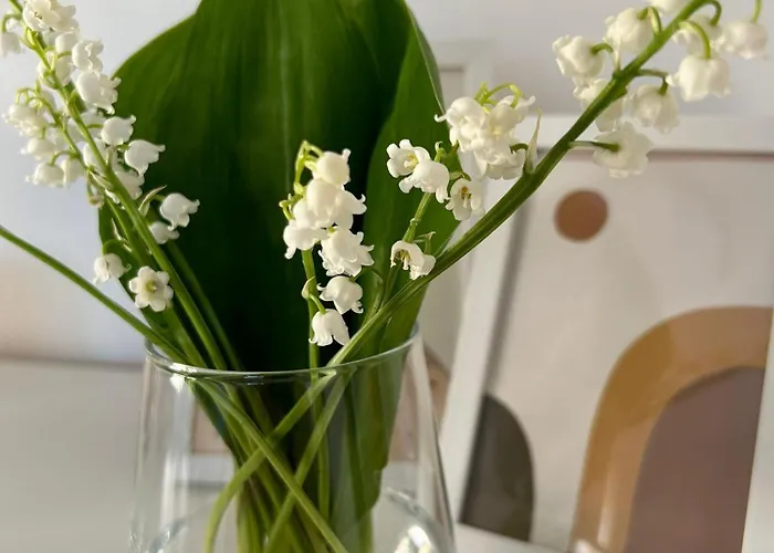 Family Paradise * Ruse